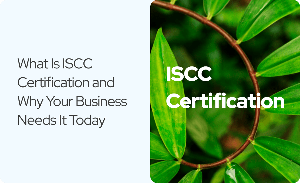What Is ISCC Certification and Why Your Business Needs It Today